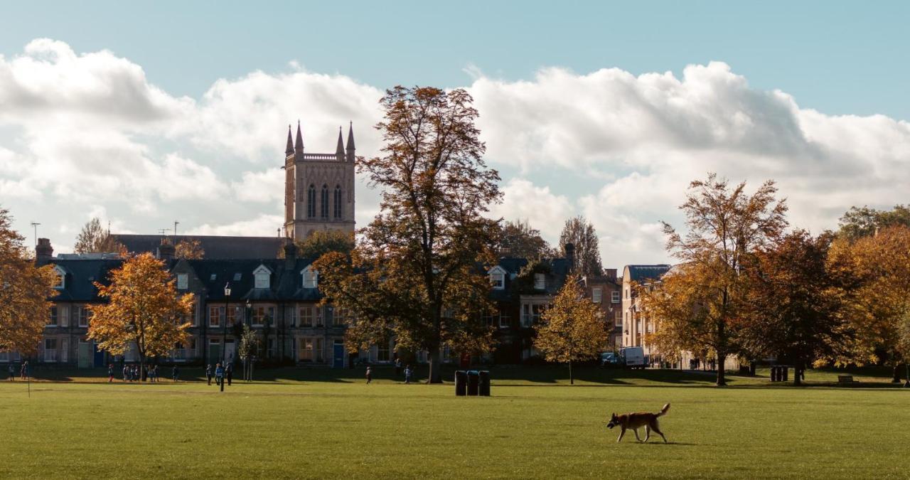 Stunning 1Br - Super Central- Peaceful Area - Lower Ground Apartment Cambridge  Bagian luar foto