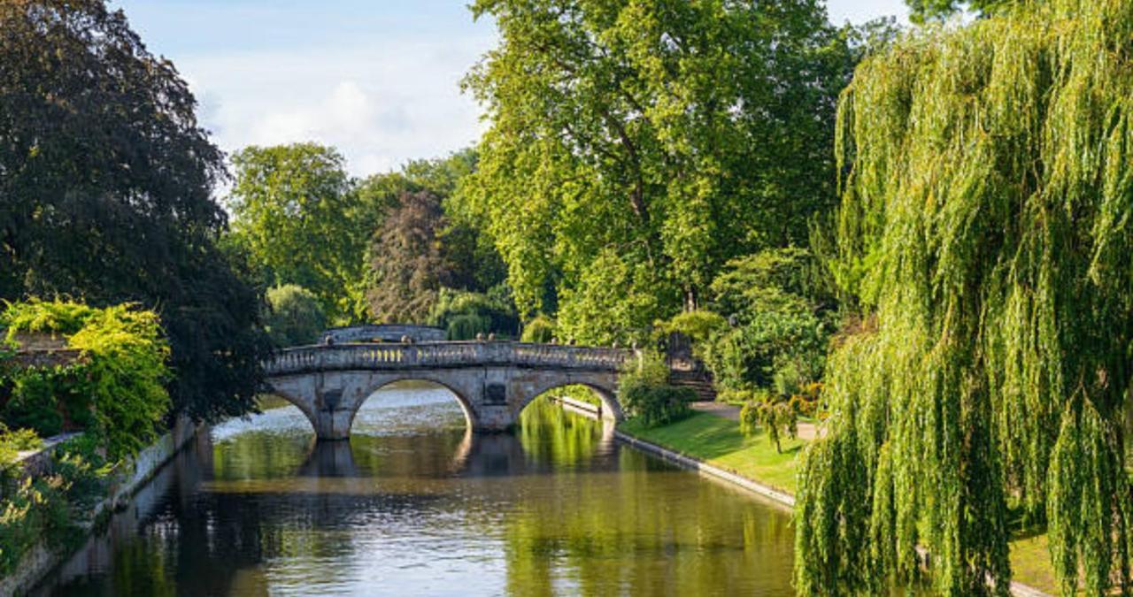 Stunning 1Br - Super Central- Peaceful Area - Lower Ground Apartment Cambridge  Bagian luar foto